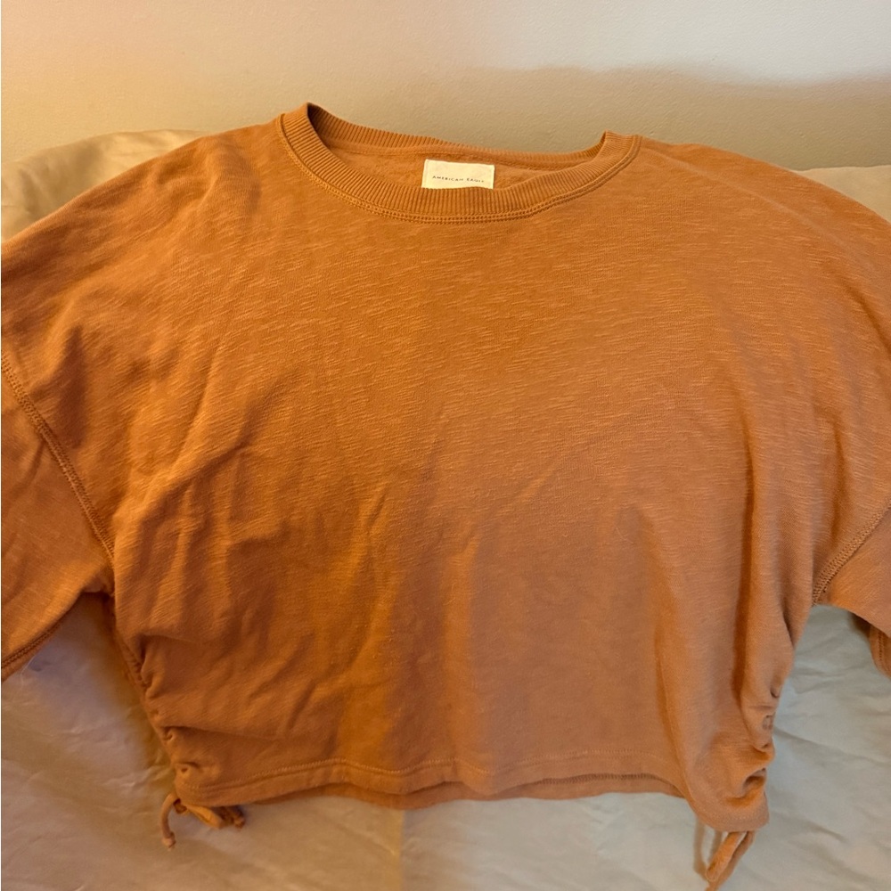 American Eagle Outfitters Brown Cropped Top